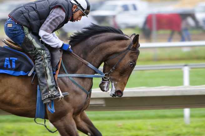 horse backriding race